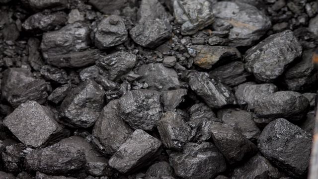 Taş Kömürü Satışından Büyük Gelir!