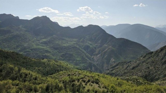 Salınbaş, Hızarlıyayla ve Ardala'da Önemli Sondaj Sonuçları