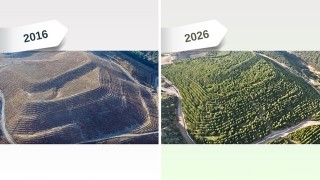 Maden Sahaları Yeşeriyor